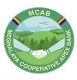 Meghalaya Cooperative Apex Bank